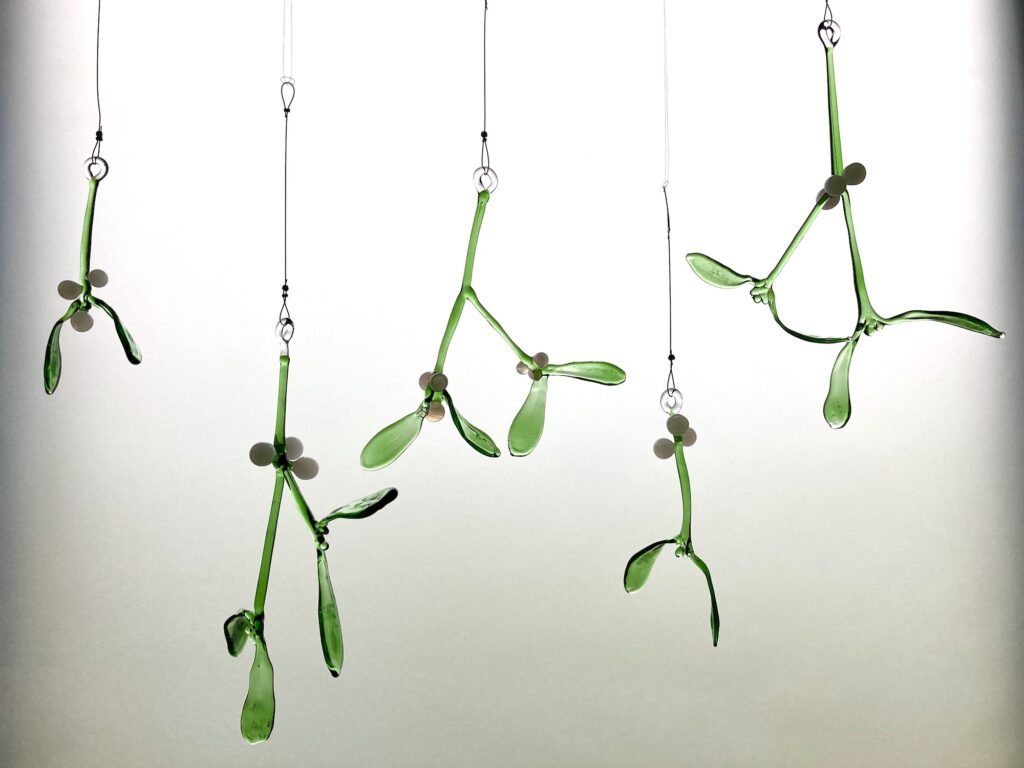Glass mistletoe group